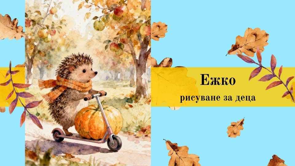 Hedgehog Drawing for Children